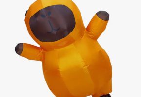 Розважальна програма з Селестією та Кремезом в Ігроленд у Sky Mall Ігроленд 5 Розважальна програма з Селестією та Кремезом в Ігроленд у Sky Mall Ігроленд 5